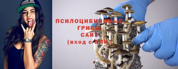 тгк Алексин