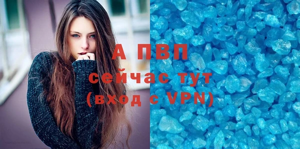 тгк Алексин