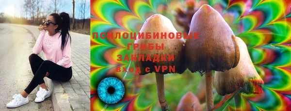 тгк Алексин