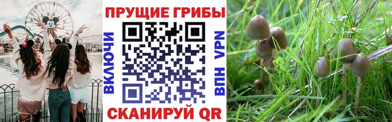 Галлюциногенные грибы ЛСД Медынь