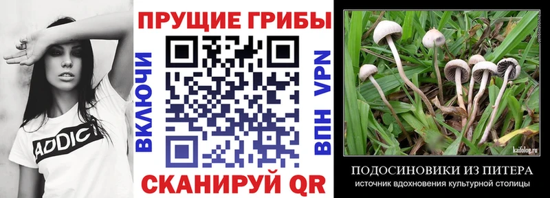 цена наркотик Медынь Галлюциногенные грибы мицелий